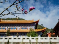 【就爱去鸡足山】九莲寺