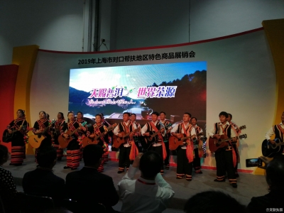 “健康生活在普洱文旅新形象”上海展风采