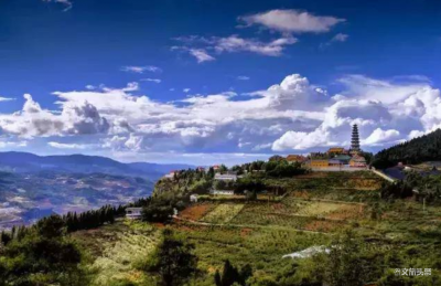 【就爱去红河】今又重阳，不妨带着父母去红河踏秋赏菊尽享天伦！