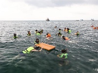 【就爱去苏梅岛】沙滩漫步看云卷云舒