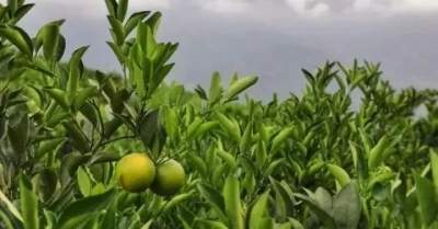 你花着大钱过大假，我们已经在想办法帮你赚钱了......