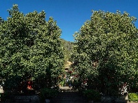 【就爱去鸡足山】九莲寺