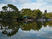 【就爱去昆明五华】翠湖秋韵