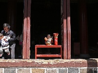 【就爱去姚安】梅葛广场