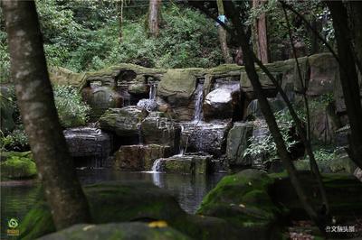 【就爱去牟定】化佛山