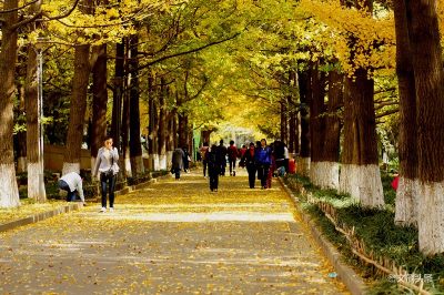 全世界都叫你去旅行，我却叫你留在昆明