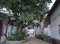 【就爱去鸡足山】寺前村