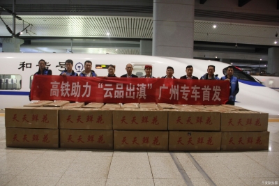 铁路双十一运输启动 高铁快运助力云品出滇