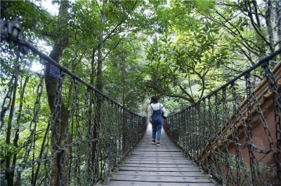 楚雄爬山去哪里？这7处绝美打卡地，超适合登高望远！