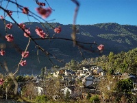 【就爱去鸡足山】寺前村