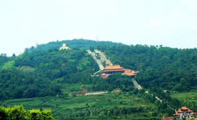 【就爱去红河】今又重阳，不妨带着父母去红河踏秋赏菊尽享天伦！