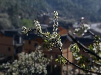 【就爱去南华】咪依噜风情谷