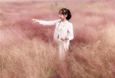 粉色浪漫来袭！楚雄这片花海景美还免费！美爆朋友圈全靠它！