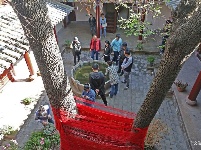 【就爱去姚安】龙华寺