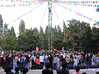 【就爱去云南民族村】2019年昆明傈僳族阔时节！