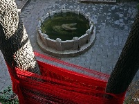 【就爱去姚安】龙华寺