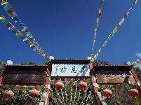 【就爱去鸡足山】放光寺