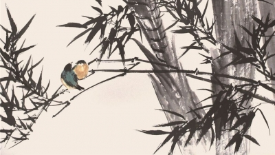 【2019大理青年艺术双年展】——张云霁