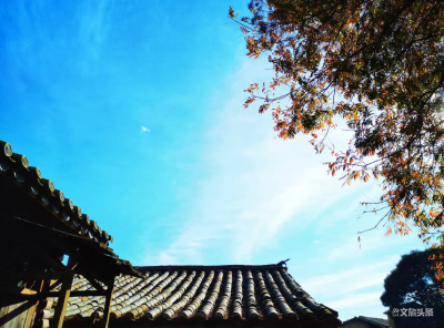 【就爱去红河】时间把所有柔情全都揉碎，藏在红河州这8个特色小镇里，每一个都美得让你心醉