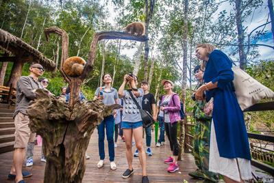 2019“十一黄金周” 普洱市共接待旅游者55.81万人次