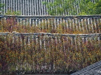 【就爱去昆明五华】昆明老街 城市中央的乡愁