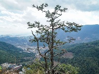 【就爱去鸡足山】鸡足奇秀甲天下