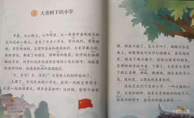 赞！云南本土两篇散文入编全国统编小学语文教材