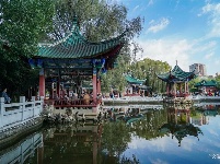 【就爱去昆明五华】翠湖秋韵