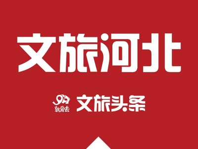 黑导游、黑旅社...保定惩处市场乱象！还有7家星级饭店摘牌