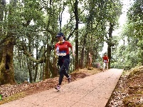 【就爱去鸡足山】鸡足山第三届越野跑大赛7公里健康跑