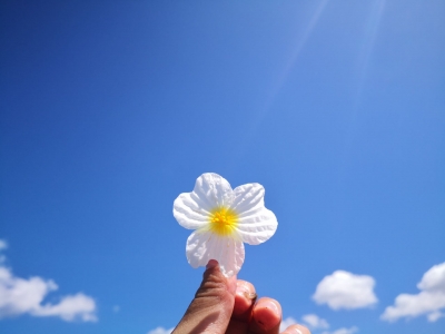 丽江又有一个地方“水性杨花”开了！你什么时候来？