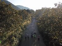 【就爱去鸡足山】鸡足山第三届越野跑大赛36公里越野跑