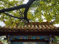 【就爱去昆明五华】翠湖秋韵