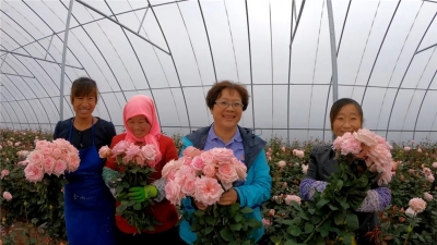 梦想之花绽放黄土高坡 飞雪梅荣获高盛&财富全球女性领袖奖