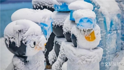 雪人“大毛”的魔力已释放到昆明，你get到了吗？