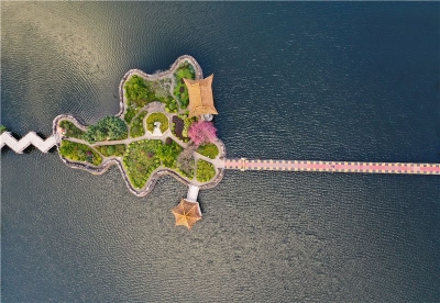 国庆节自驾双柏，开启一场生态之旅