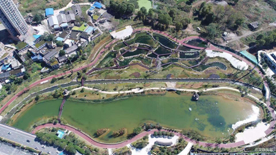 曾经“臭水塘”变身“城市花园”——  贵阳七彩湖生态湿地公园被媒体称赞