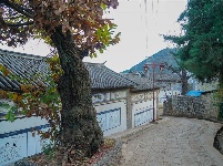 【就爱去鸡足山】寺前村