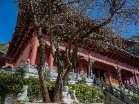 【就爱去鸡足山】报恩寺