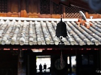 【就爱去姚安】龙华寺