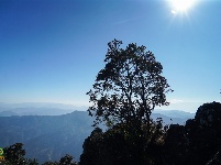【就爱去鸡足山】鸡足奇秀甲天下