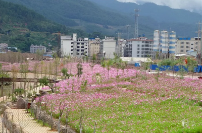 3县被取消资格，22个城市（区、县）保留荣誉 云南省文明城市复查结果公布