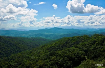 第二届和平绿色生态文化旅游论坛（普洱）将举行 全球百余名行业大咖云集