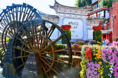 今天走了3万步！只为把丽江的秋天看一遍！