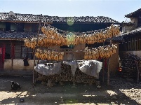 【就爱去弥渡】密祉 小河淌水的故乡