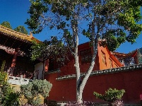 【就爱去鸡足山】九莲寺
