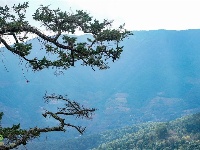 【就爱去鸡足山】鸡足奇秀甲天下