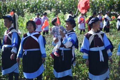 东巴祈福、攀岩、溜索......丽江这个乡村旅游节太精彩了！