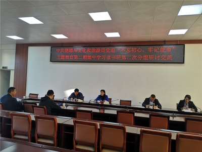 楚雄州文化和旅游局举行党组班子“不忘初心、牢记使命”主题教育第二期集中学习读书班
