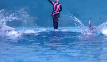她是大海里的“微笑天使” 她将湛蓝深海中的故事带来春城